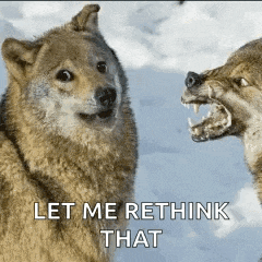 two wolves are standing next to each other in the snow with the words let me rethink that written below them .
