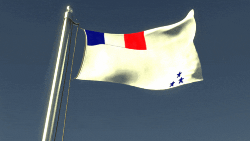 a flag with three blue stars on it