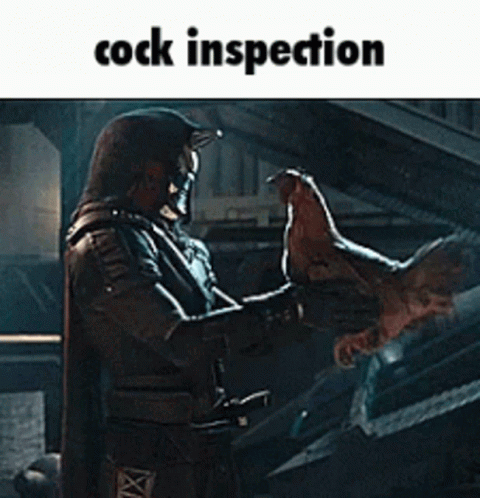 Cock Inspection GIF - Cock Inspection GIFs