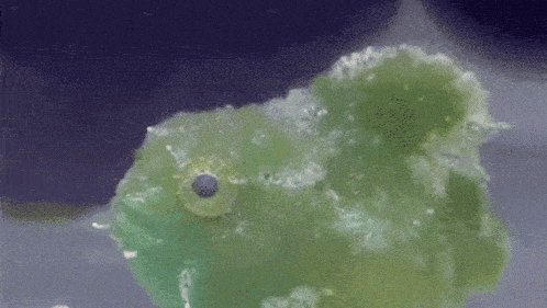 a close up of a green object with white spots on it .