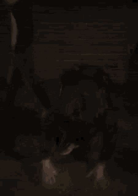 a blurry picture of a person standing on a couch in a dark room .