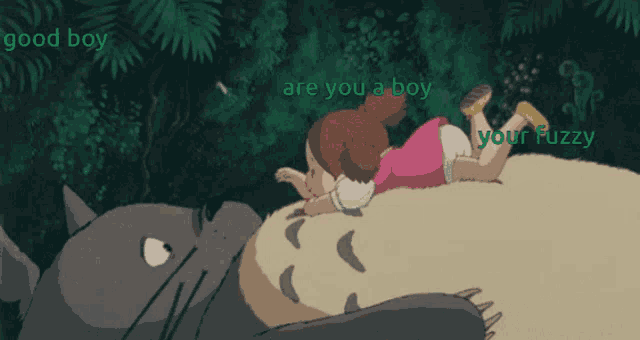 a girl laying on top of a totoro with the words " good boy " and " are you a boy "