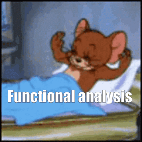 a cartoon of jerry laying on a bed with functional analysis written below him