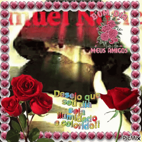 a picture with red roses and the words desejo que seu dia written on it