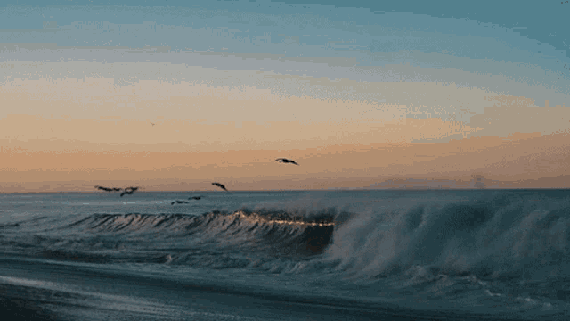 a flock of birds flying over the ocean