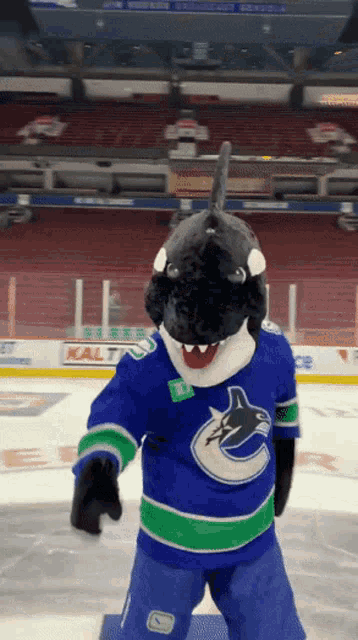 a mascot for the vancouver canucks is standing on a hockey rink