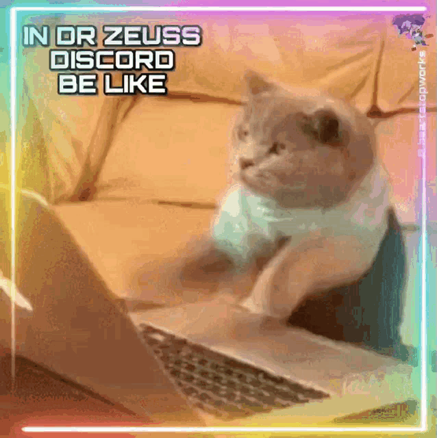 a cat is sitting in front of a laptop with the words `` in or zeuss discord be like '' written on it .