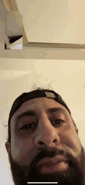 a man with a beard is wearing a hat