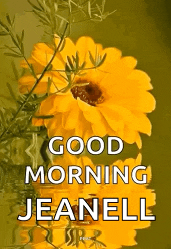a picture of a yellow flower with the words good morning jeanell on it