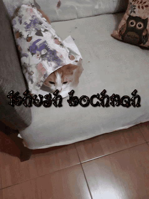 a picture of a cat wrapped in a floral blanket with the name brush bockman written on it