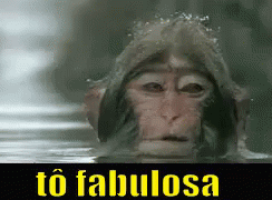 Meachando Tofabulosa Macaco GIF - Being Cocky Im Fabulous Monkey GIFs