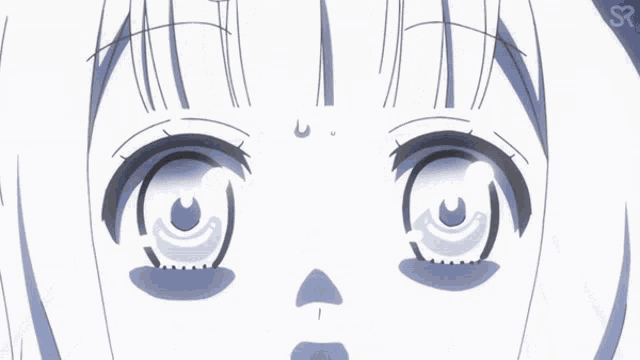 a close up of a girl 's face with the letters sr on the bottom right