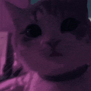 a close up of a cat 's face with a purple background .