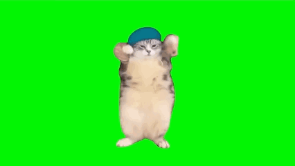 Cat Fnaf Memes GIF - Cat Fnaf Memes Meme GIFs