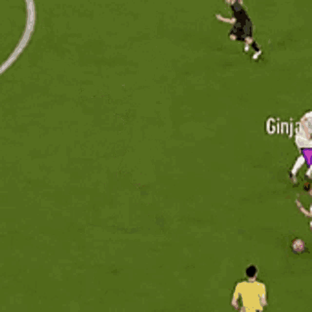 a group of soccer players are playing a game on a field with the name ginja turtle visible