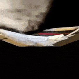 a close up of a person holding a piece of paper .