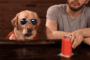 a dog wearing sunglasses sits next to a man holding a can of soda .