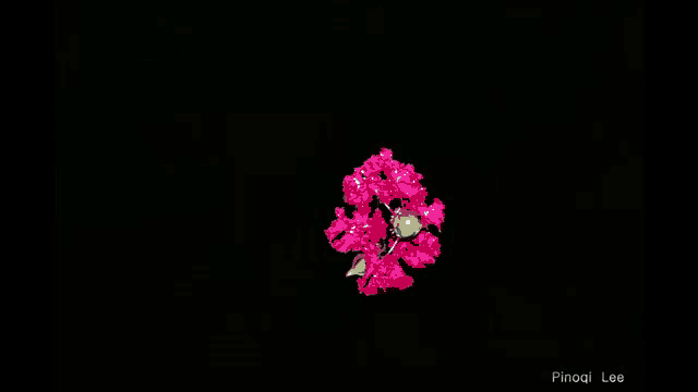 a black background with the words in the dark