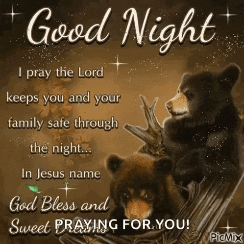 two bears are sitting on a tree branch with a good night message .