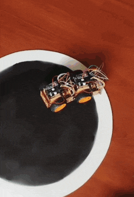 a white plate with a black circle in the middle