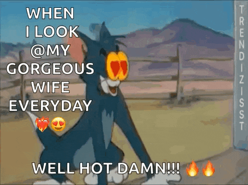 tom from tom and jerry says when i look @ my gorgeous wife everyday well hot damn