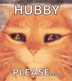 a cat is crying and says `` hubby please ... '' .