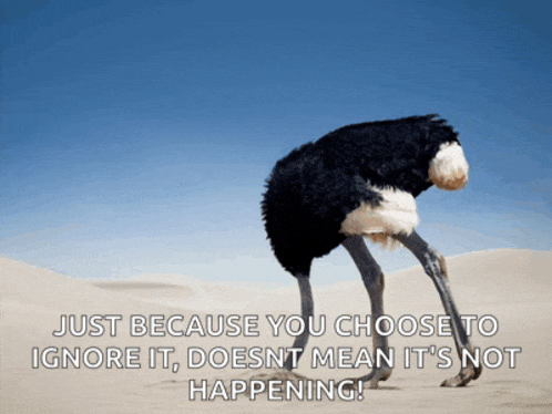 an ostrich with its head in the sand with a quote behind it