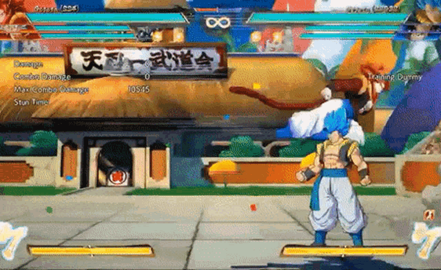 a screenshot of a video game with a sign that says fighting dummy