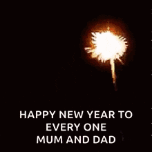 a picture of fireworks with the words `` happy new year to every one mum and dad '' written on it .