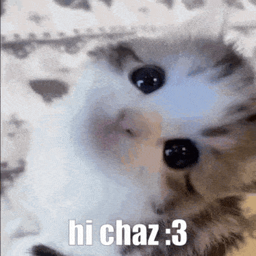 Chaz Chazzie GIF - Chaz Chazzie Jade GIFs