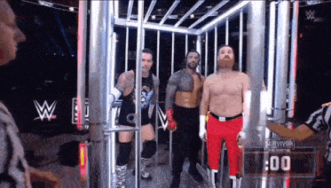 a group of wrestlers standing in a cage with the words survivor on the screen behind them
