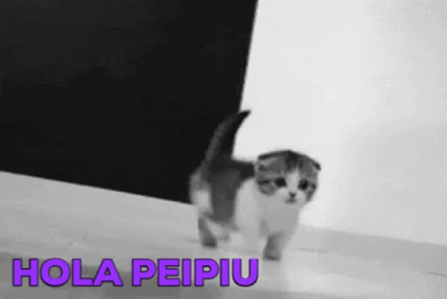 Hola Peipiu Hola GIF - Hola Peipiu Hola Peipiu Kitty GIFs