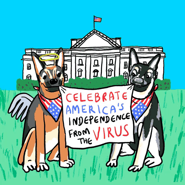 two dogs in front of the white house holding a sign that says celebrate america 's independence from the virus