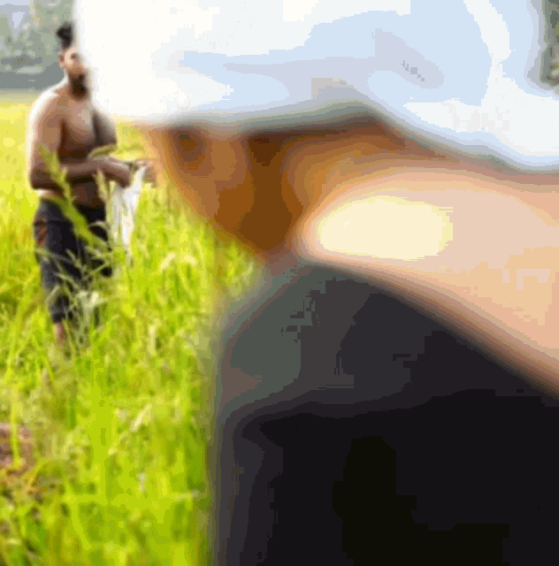 a blurred image of a person standing in a field