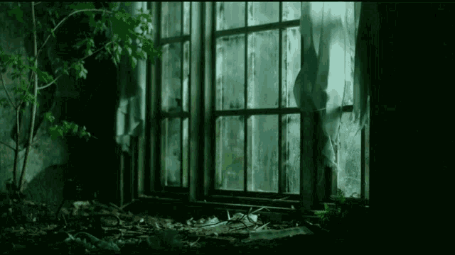 a dark room with a broken window and a tree in the foreground