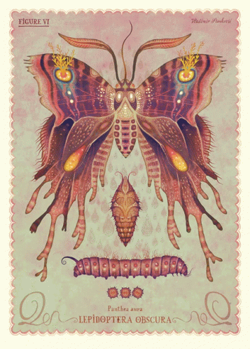Butterfly Watercolor GIF - Butterfly Watercolor Caterpillar GIFs