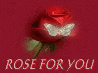 Rose For You Love GIF - Rose For You Love Butterfly GIFs