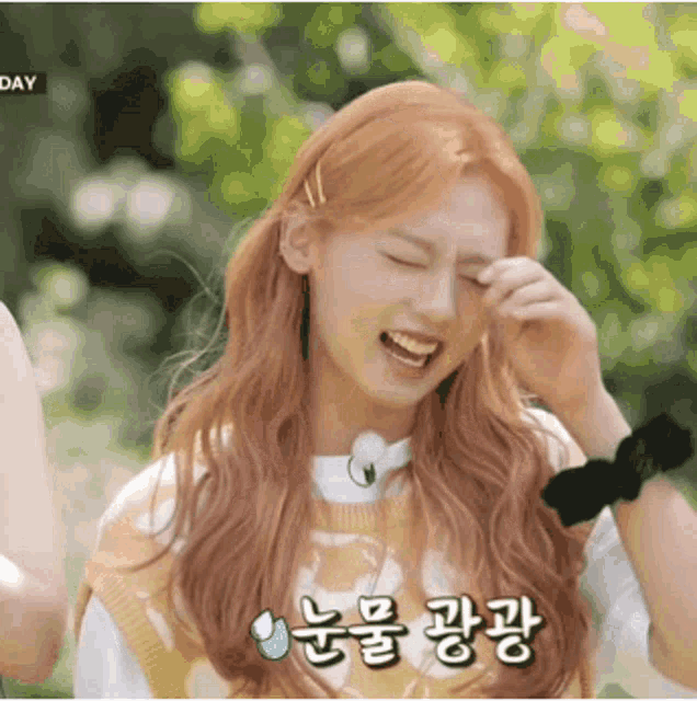 Cignature Belle GIF