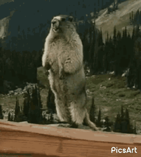 a ground squirrel is standing on its hind legs on a wooden fence .