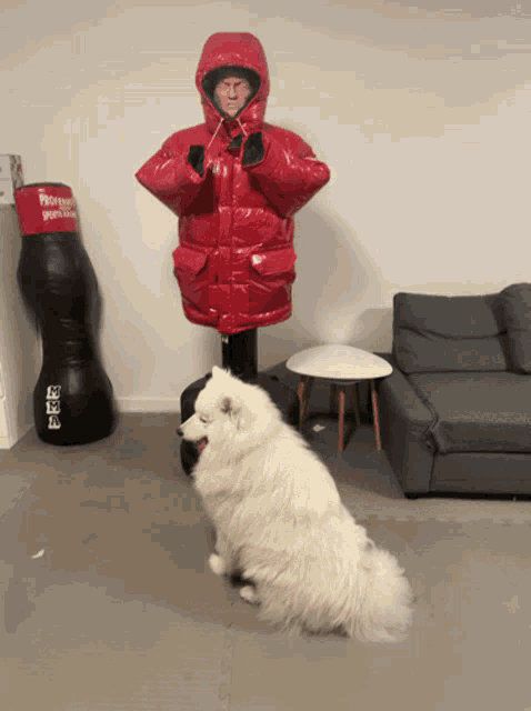 a man in a red jacket stands next to a dog in front of a coca cola bottle