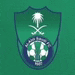 a green shield with a palm tree and a soccer ball on it on a green background .