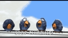 a group of birds are sitting on a wire with the words `` stop chirping '' written on the bottom .