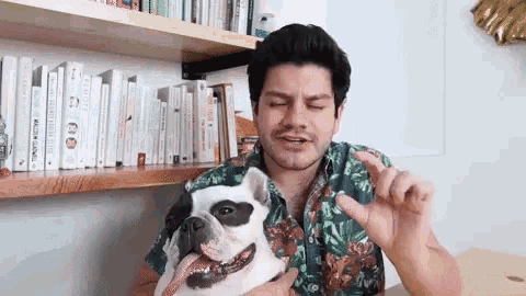 Dog Kiss GIF - Dog Kiss Bulldog GIFs
