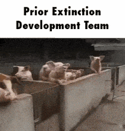 a group of pigs are sitting in a pen with the words prior extinction development team written above them .