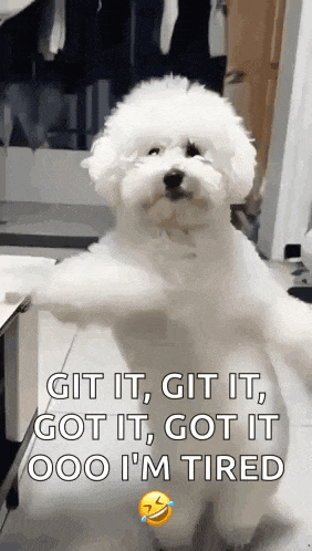 Dancing Dog GIF