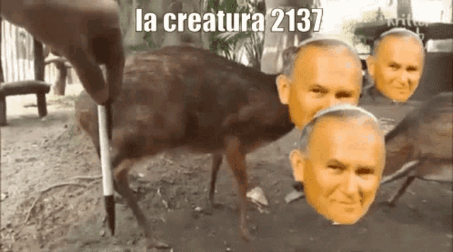 a picture of a deer with a caption that says la creature 1437