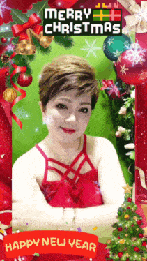a merry christmas and happy new year card with a woman in a red dress