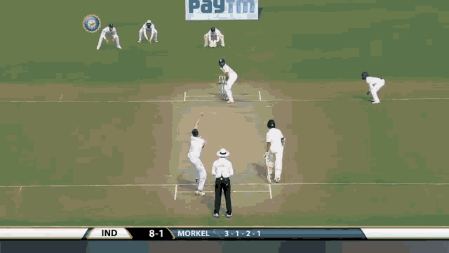 Morne Morkel Cricket GIF - Morne Morkel Cricket Morkel GIFs