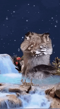 a lion is sitting in front of a waterfall at night .