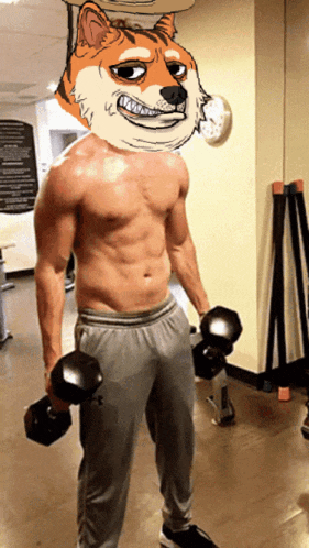 a shirtless man with a doge mask on his head is holding dumbbells